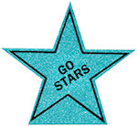 15 inch Star